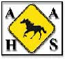 Horse safety