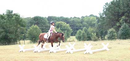 Cavaletti Work