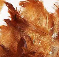 Brown Fuzzy Chicken Hen Feathers