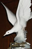 Lladro Turtle Dove