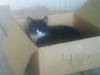 Missy In Waiting
