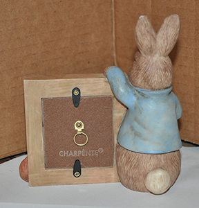 Peter Rabbit Collection