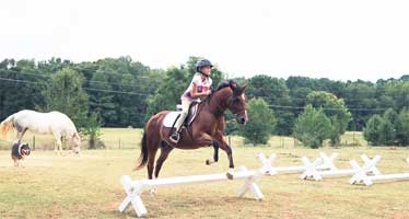 Putting Cavaletti To The Test