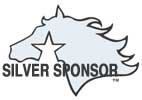 Silver Horse Head