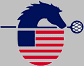 polocrosse