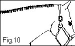 braid10