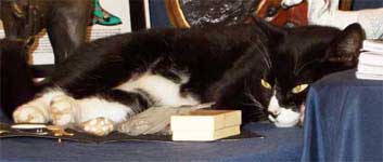 Missy relaxing
