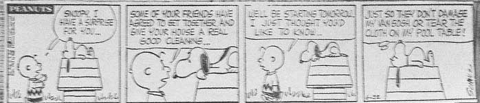 Snoopy's House gets a Cleaning