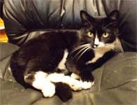 Missy GSEC